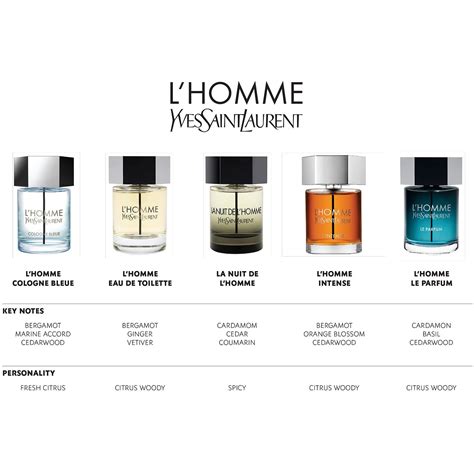 Ysl Y Vs Dior Homme 